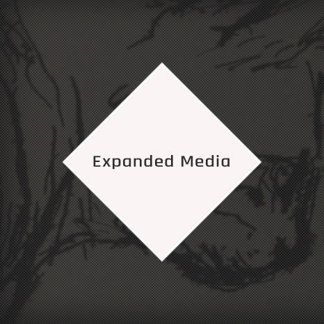 expanded media contraart