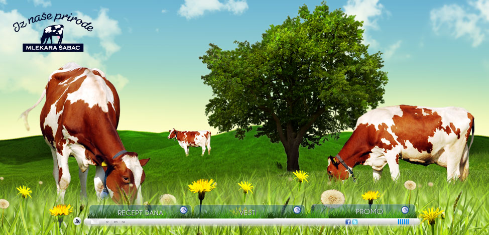 screenshot dairy site