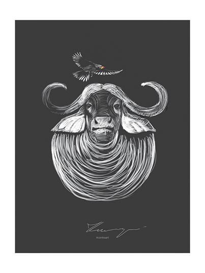 ILLUSTRATIONS